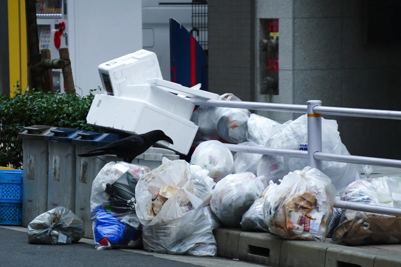 Overflowing pile of plastic rubbish bags and broken polystyrene boxes on a city kerb, with a crow perched on top